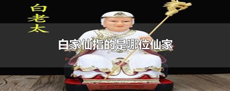 仙家|仙家是什么